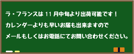 ラ・フランスは11月中旬より出荷可能です！メールもしくはお電話にてお問い合わせください。